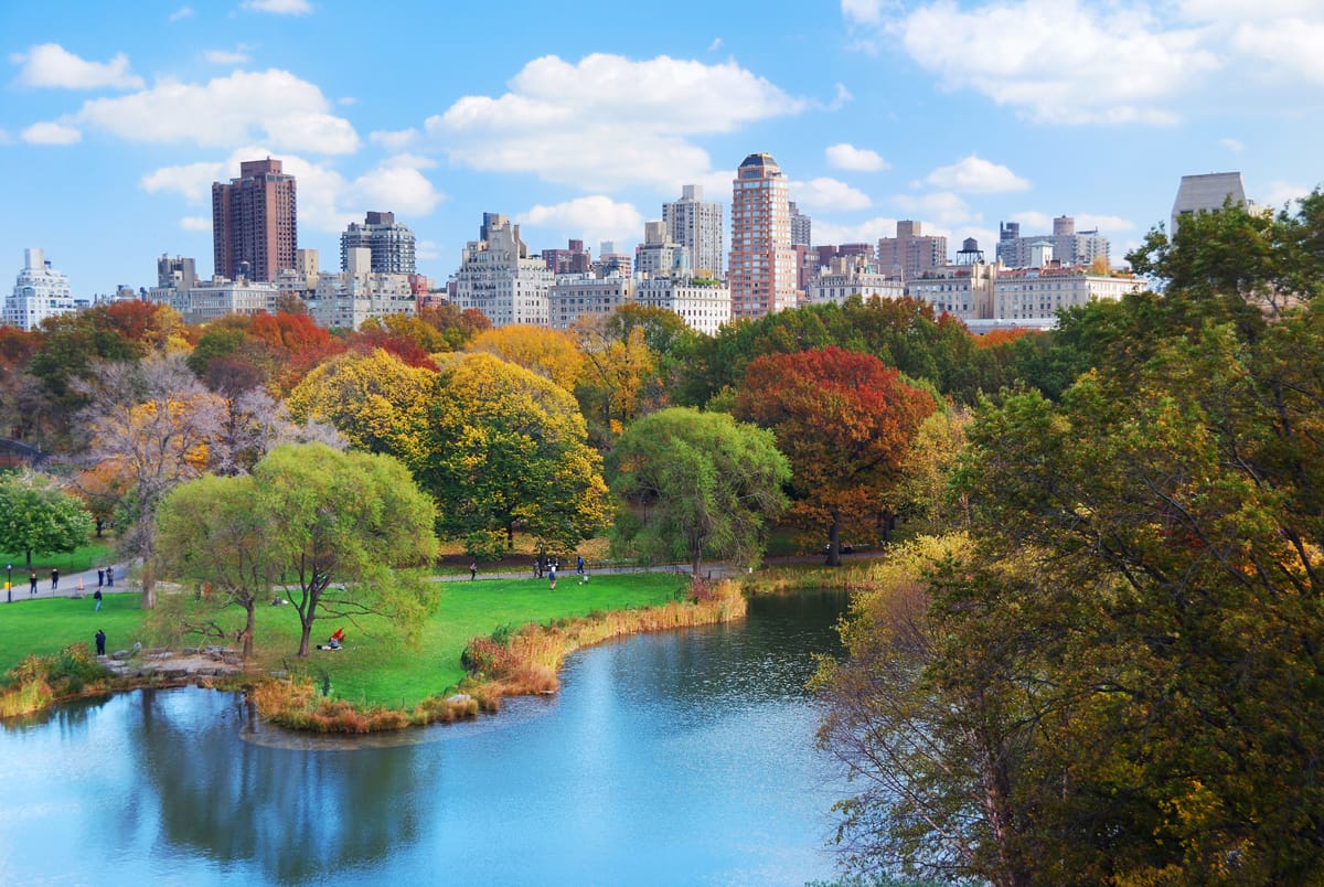 A park landscape with the New York skyline in view